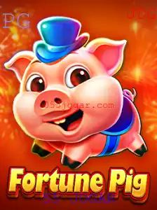 55 JOGAR Exclusivo